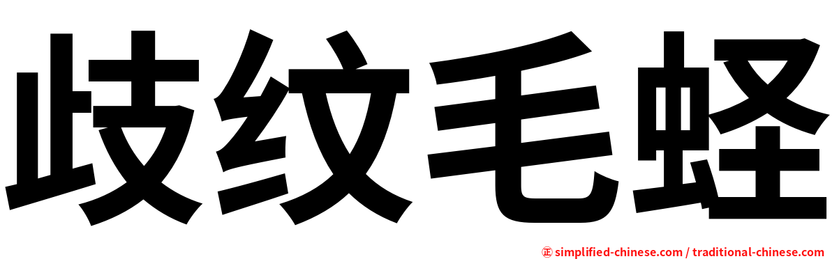歧纹毛蛏