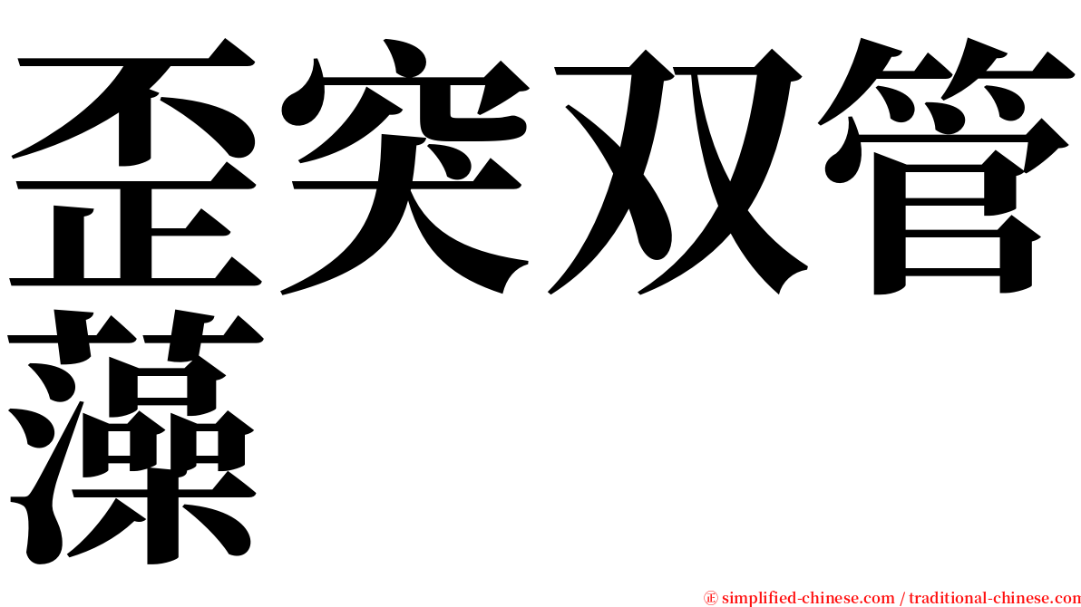 歪突双管藻 serif font