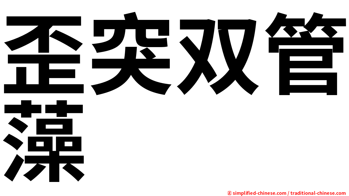 歪突双管藻