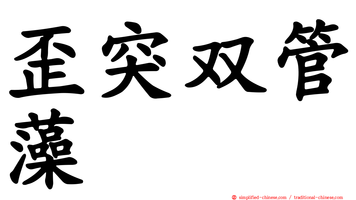 歪突双管藻