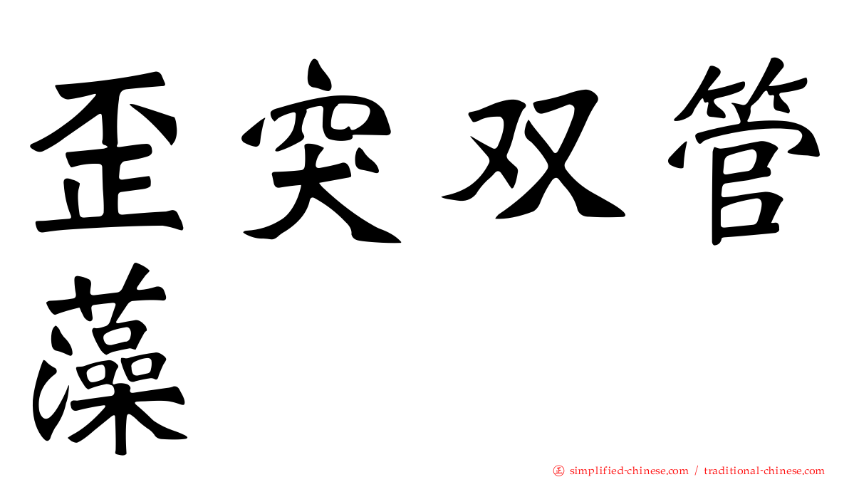 歪突双管藻