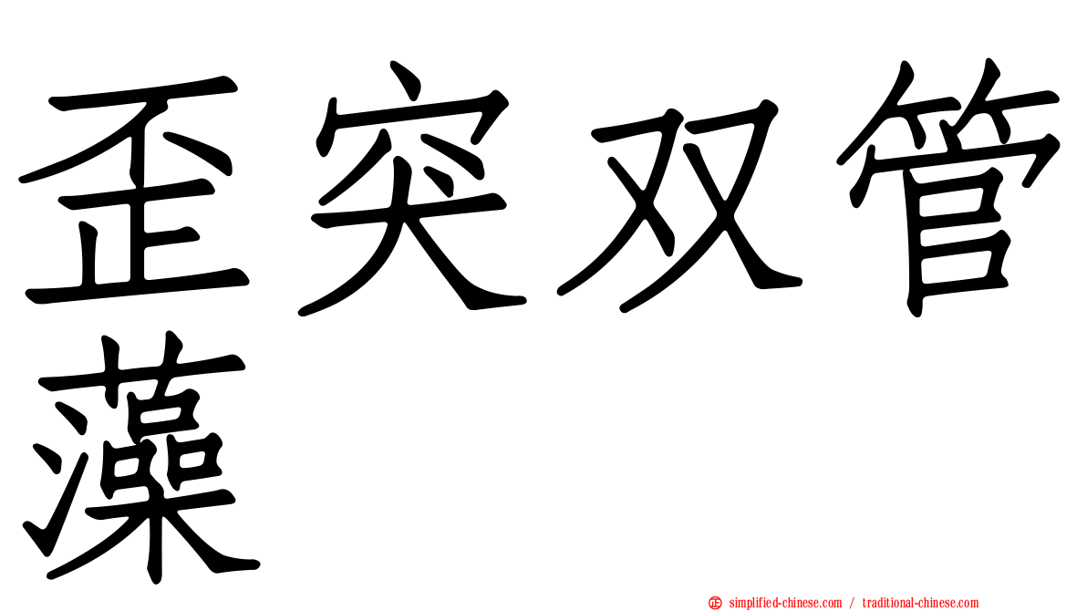 歪突双管藻