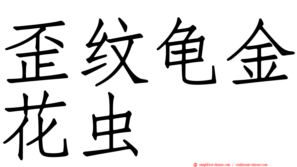 歪纹龟金花虫