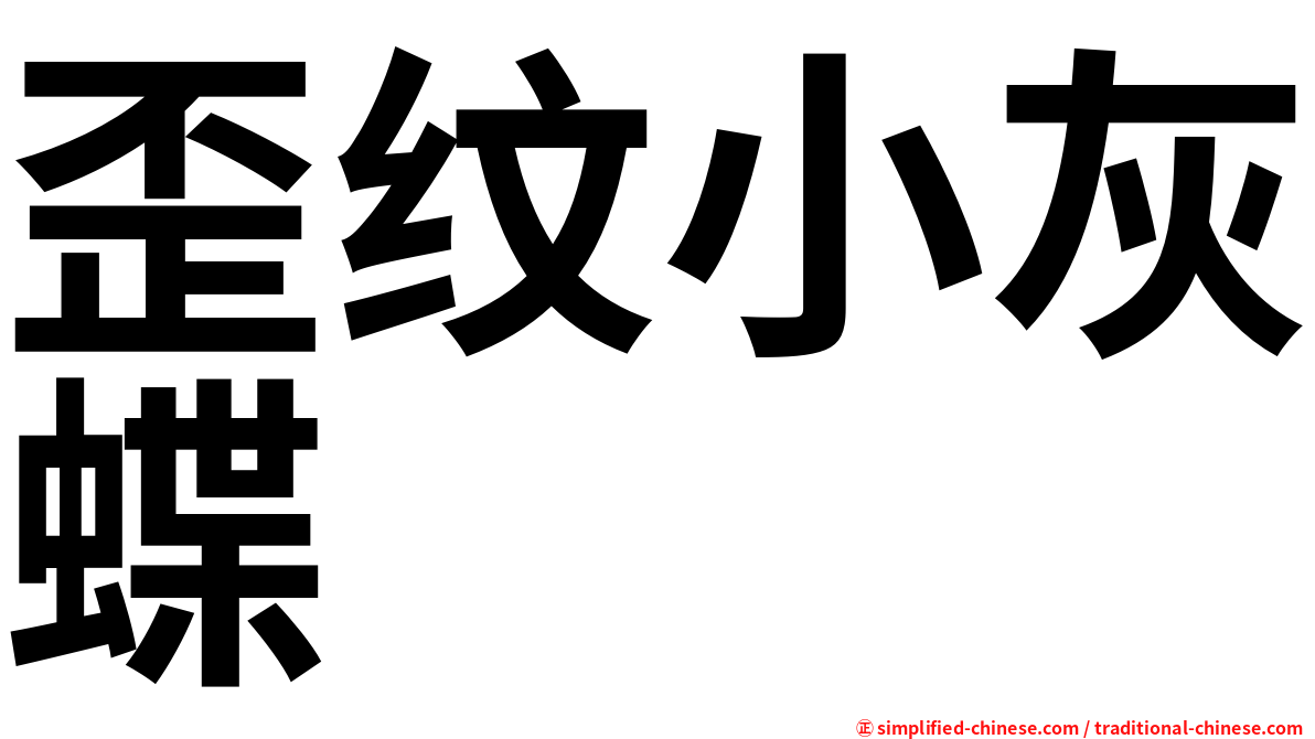 歪纹小灰蝶