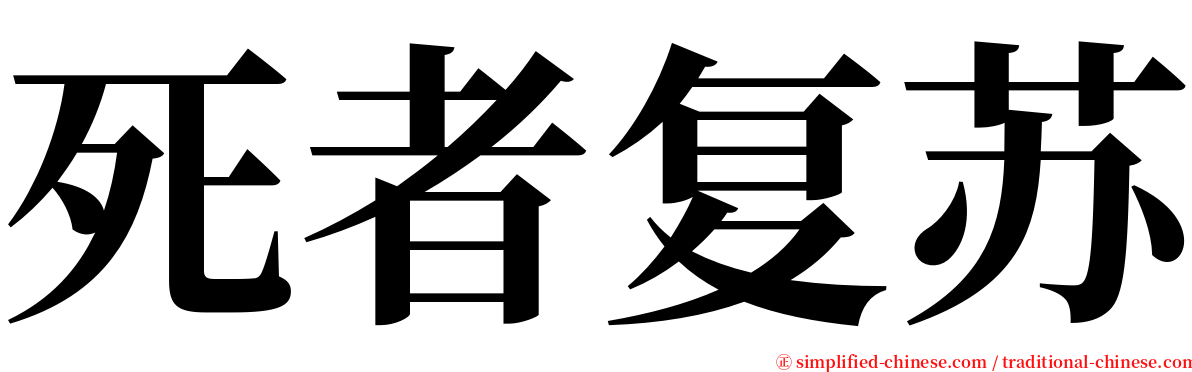 死者复苏 serif font