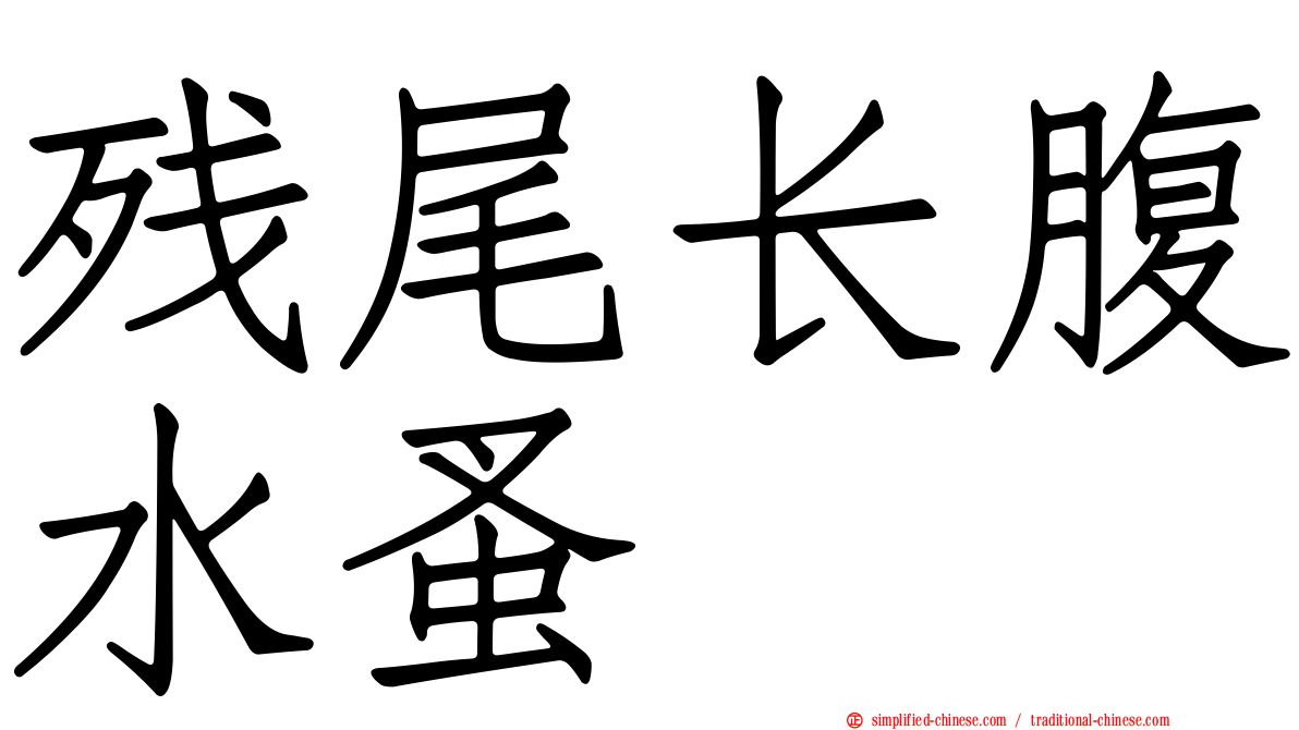 残尾长腹水蚤