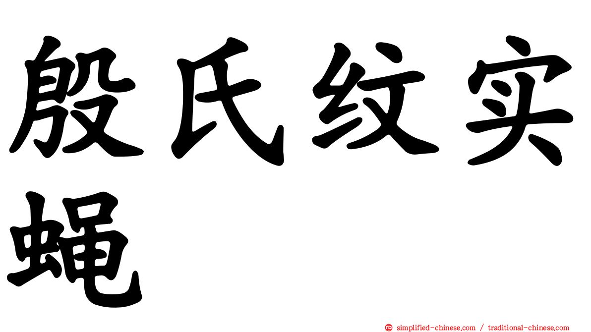 殷氏纹实蝇
