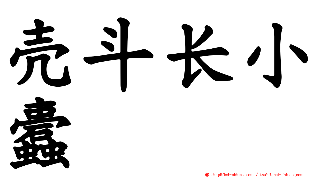 壳斗长小蠹