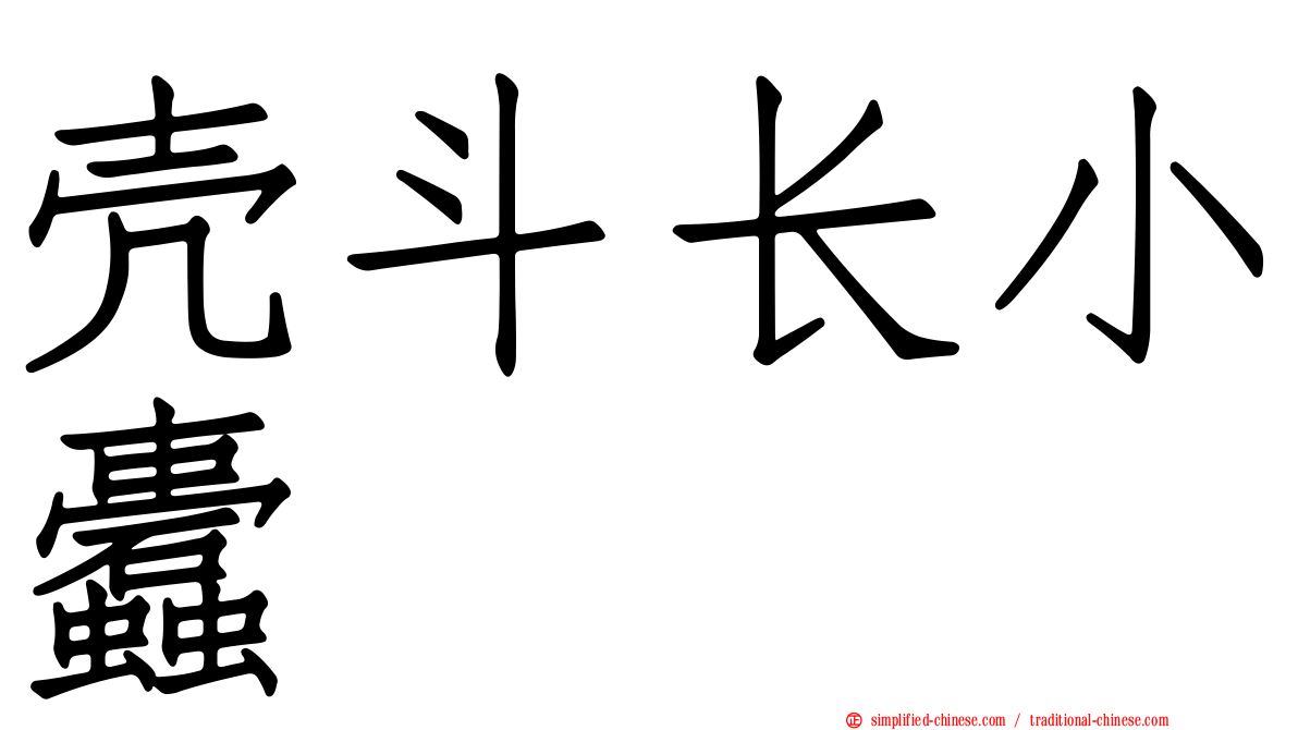 壳斗长小蠹