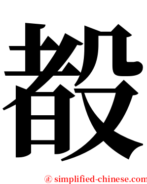 殾 serif font