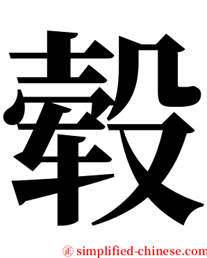 毂 serif font