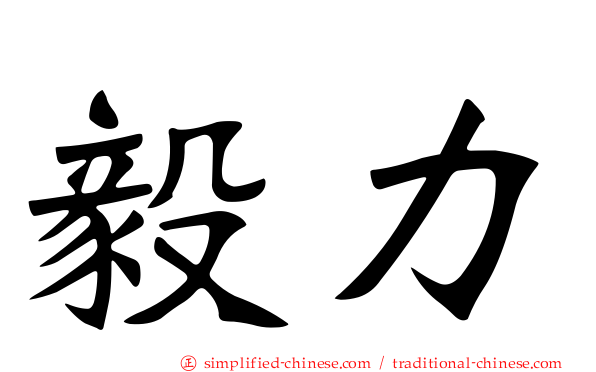 毅力