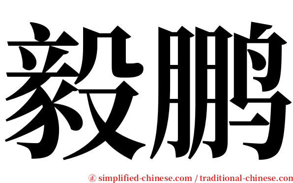 毅鹏 serif font