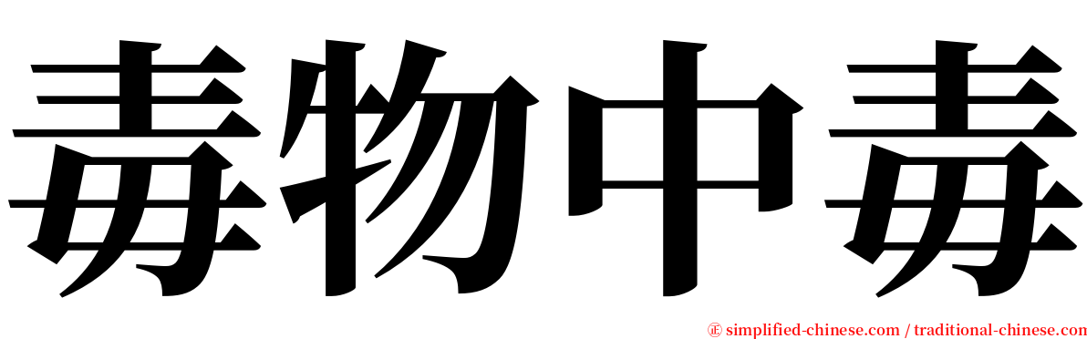 毒物中毒 serif font