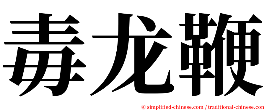 毒龙鞭 serif font