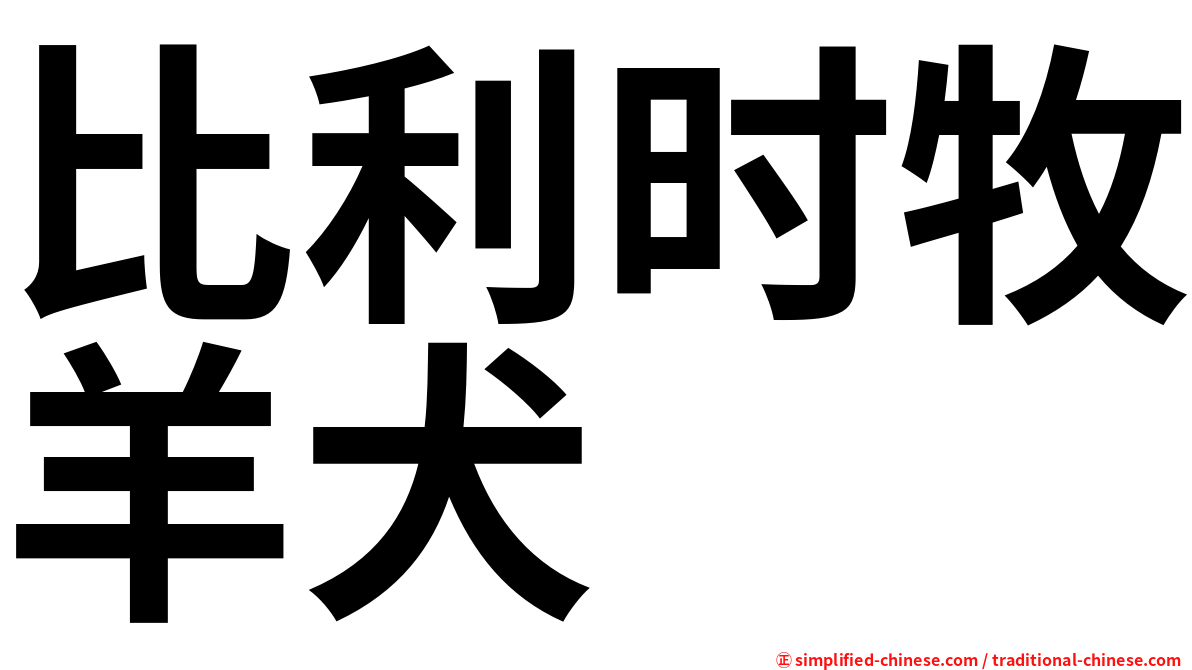 比利时牧羊犬