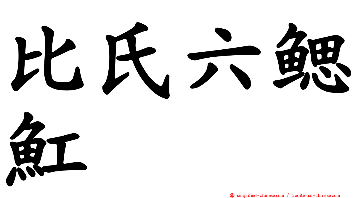 比氏六鳃𫚉