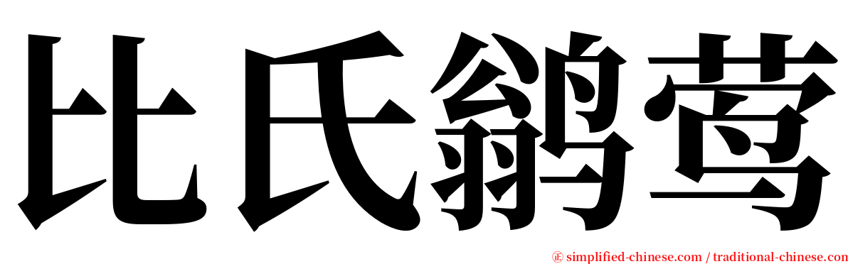 比氏鹟莺 serif font