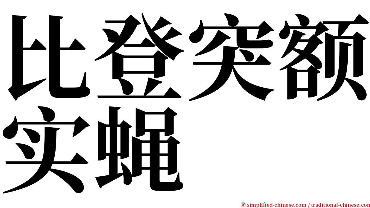 比登突额实蝇 serif font