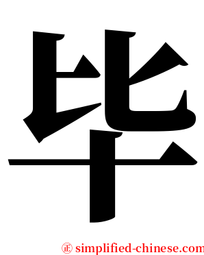毕 serif font
