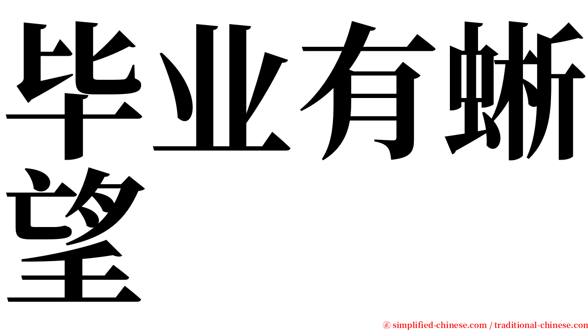 毕业有蜥望 serif font