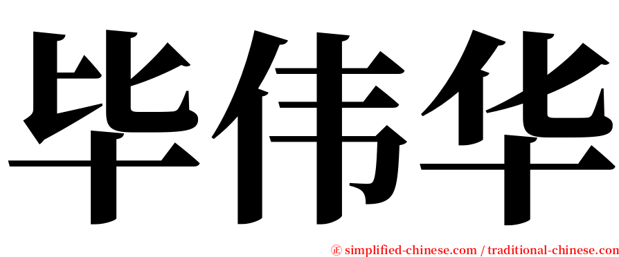 毕伟华 serif font