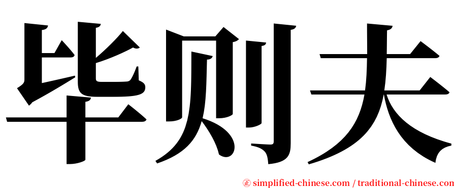 毕则夫 serif font