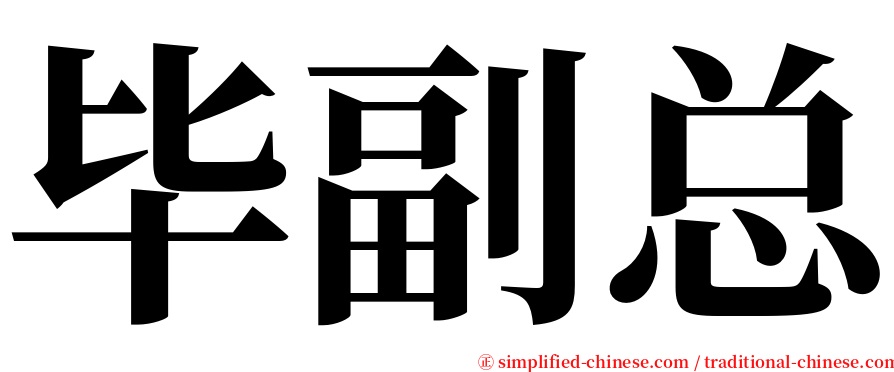 毕副总 serif font