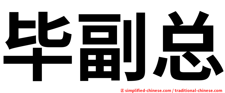 毕副总