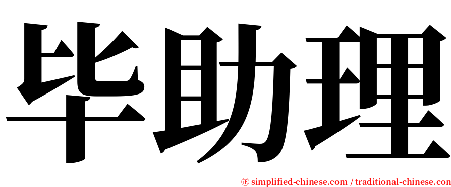 毕助理 serif font