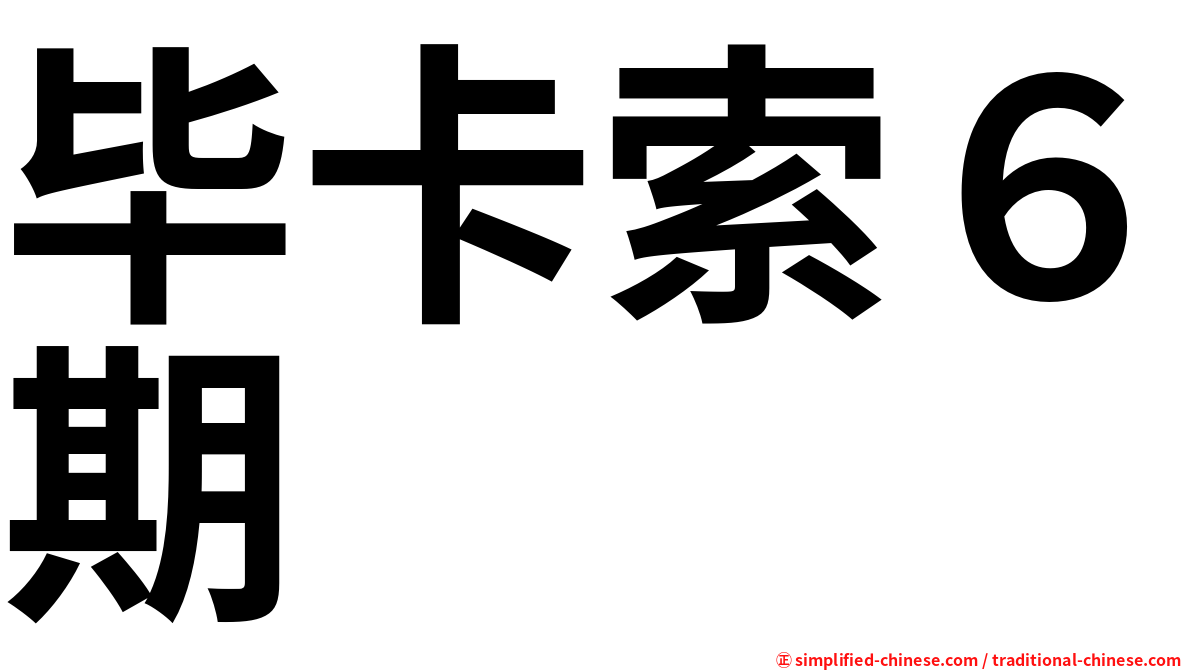 毕卡索６期