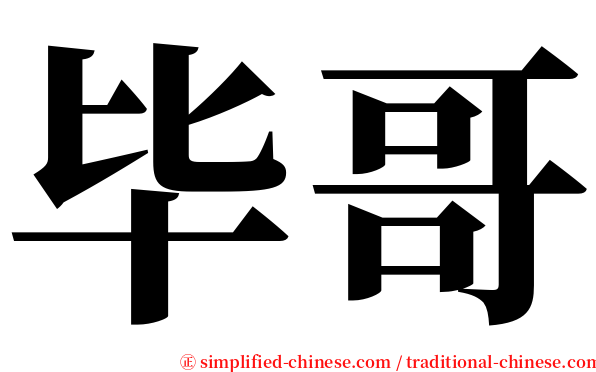 毕哥 serif font