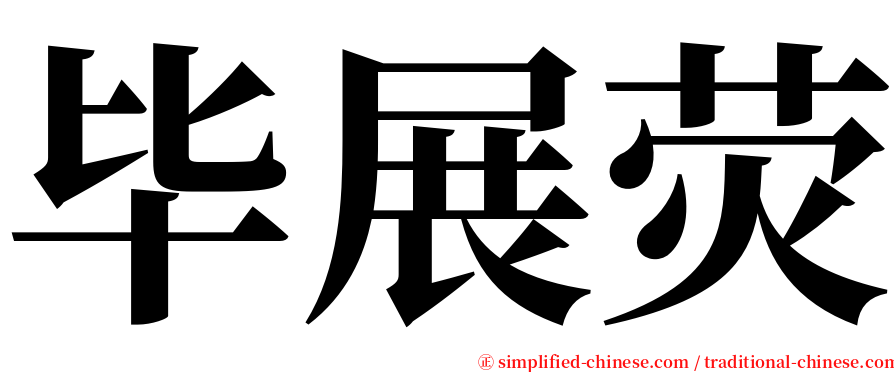 毕展荧 serif font