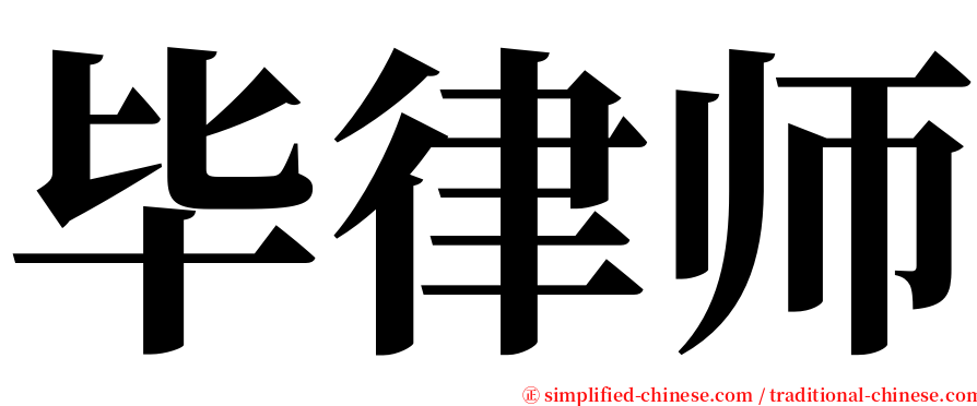 毕律师 serif font