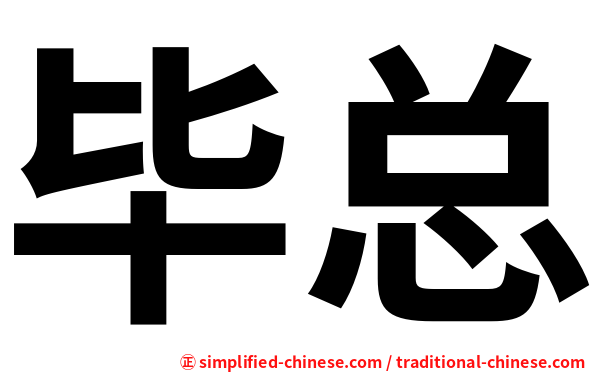 毕总