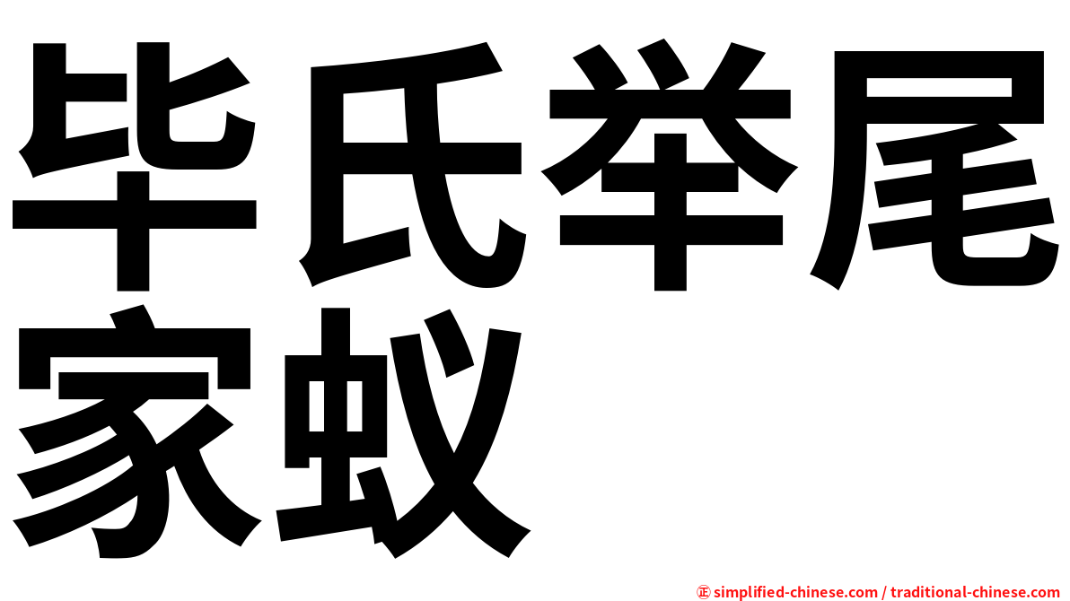 毕氏举尾家蚁