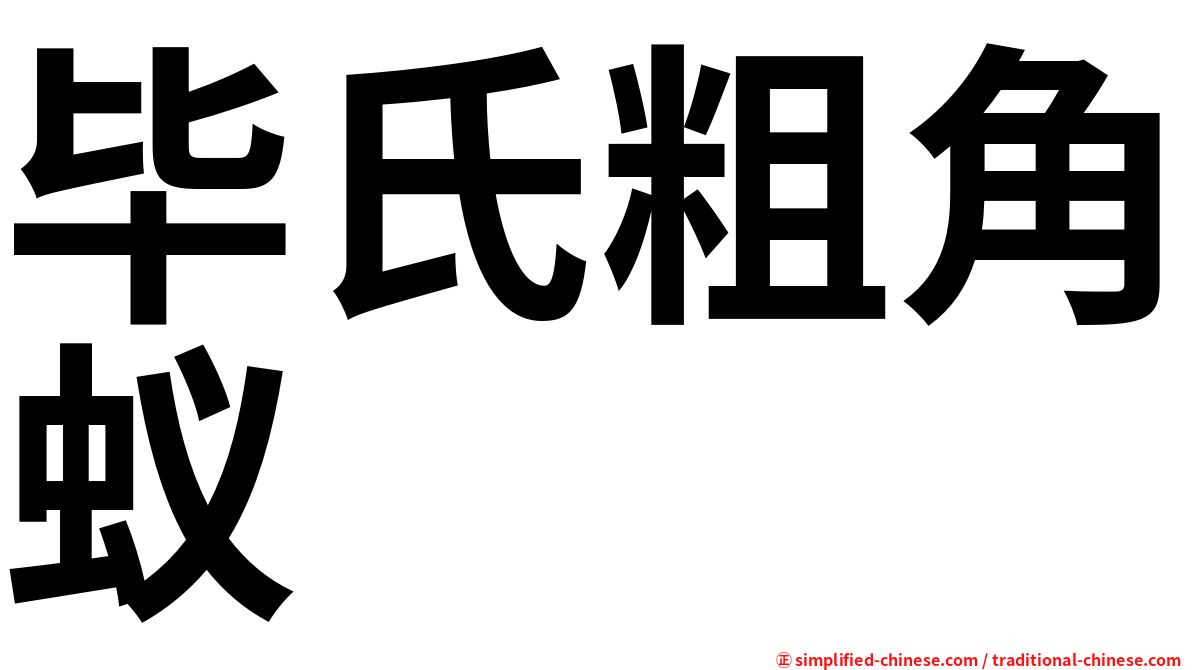 毕氏粗角蚁