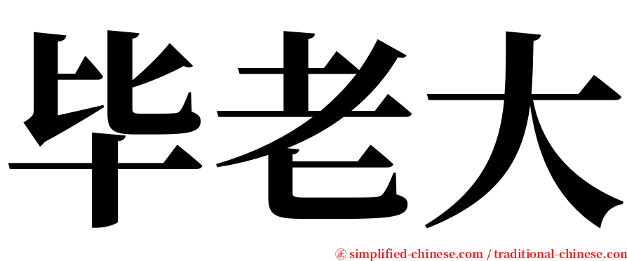 毕老大 serif font