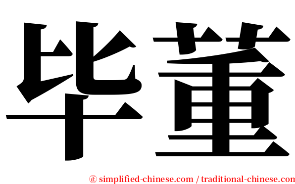 毕董 serif font
