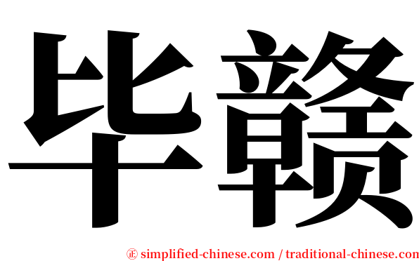 毕赣 serif font