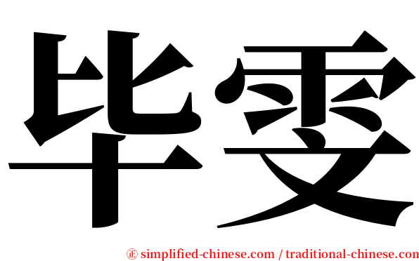 毕雯 serif font