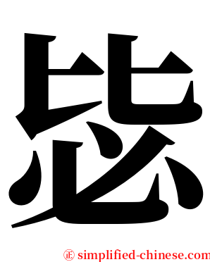 毖 serif font
