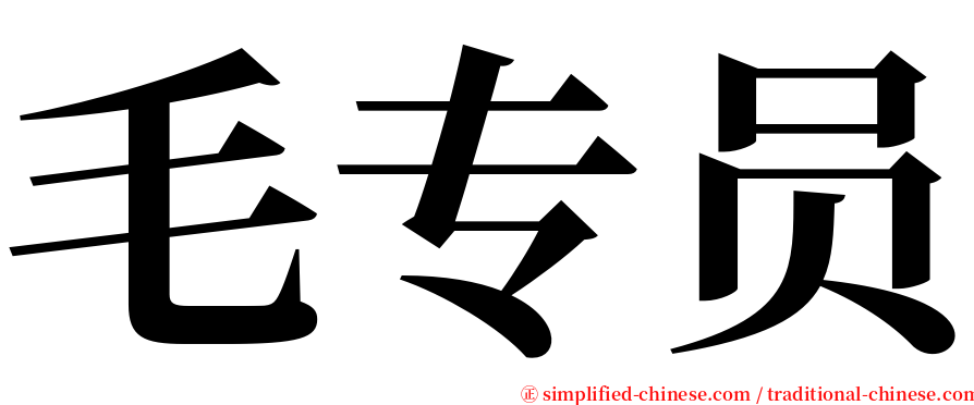 毛专员 serif font