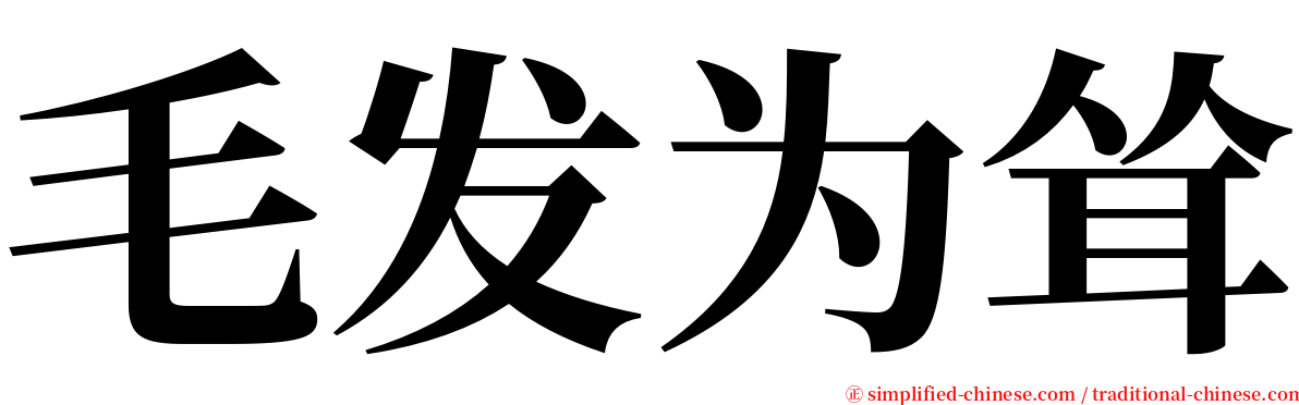毛发为耸 serif font