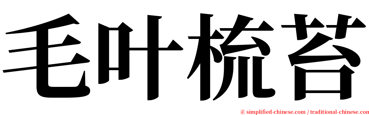 毛叶梳苔 serif font