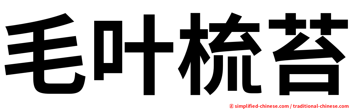 毛叶梳苔