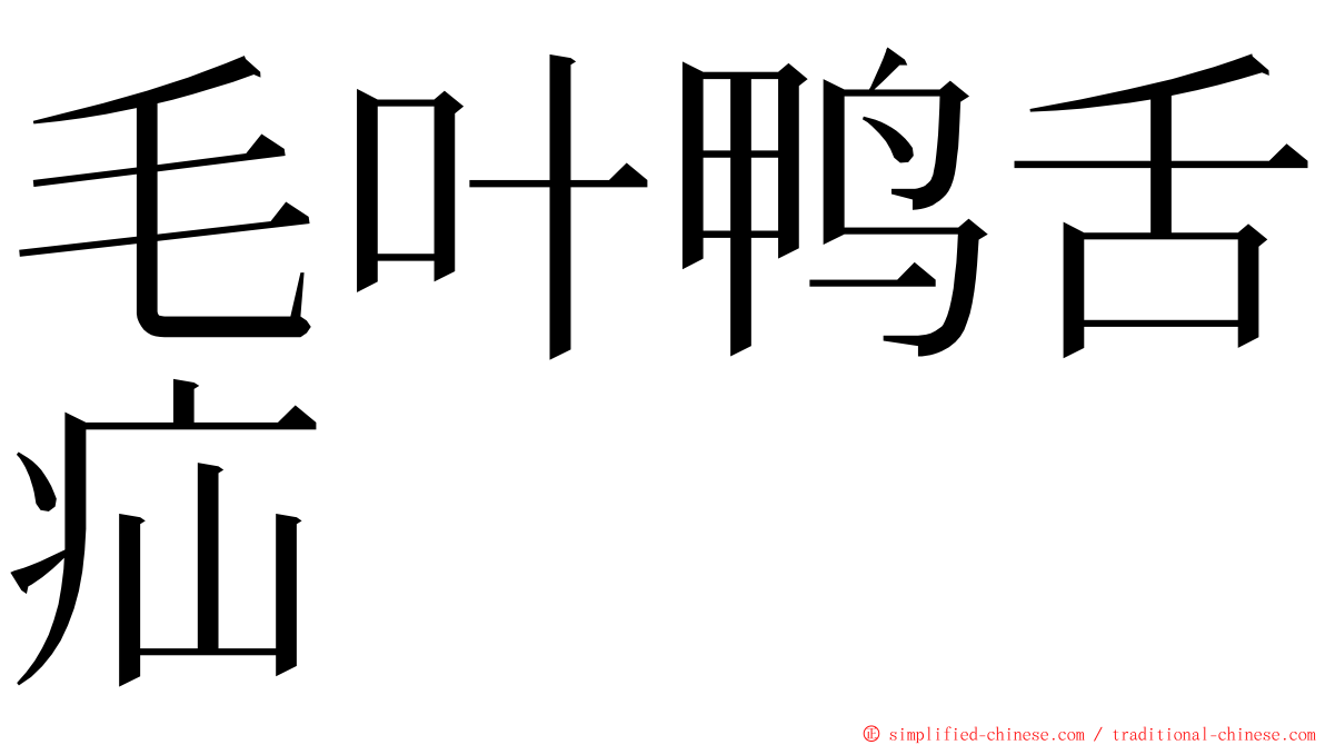 毛叶鸭舌疝 ming font