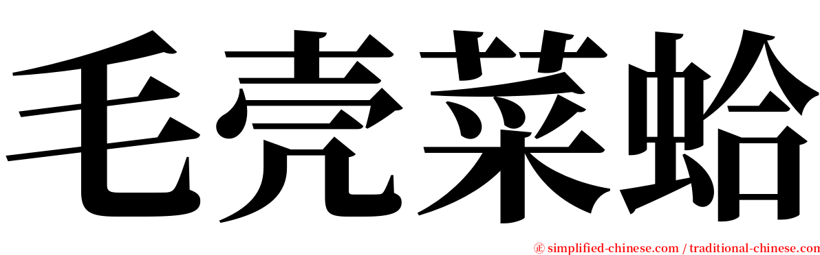 毛壳菜蛤 serif font