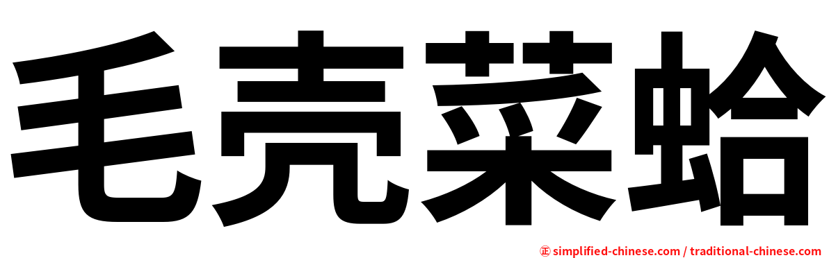 毛壳菜蛤