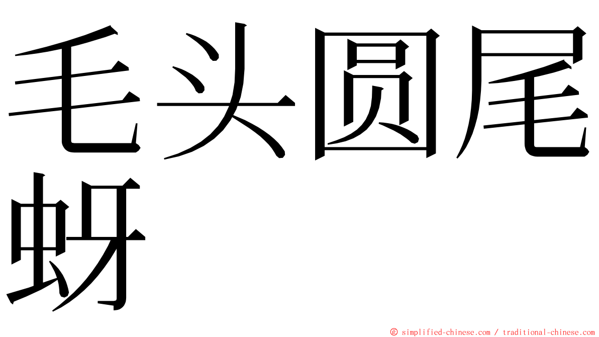 毛头圆尾蚜 ming font